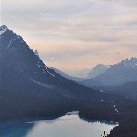 Meet your Posher, Skylar - Picture 1 of 1